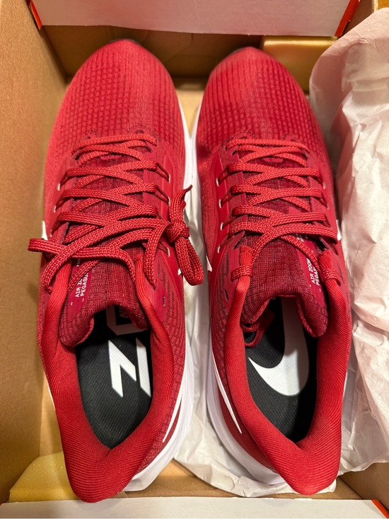 Nike Other - Nike men’s Air Zoom Pegasus 39